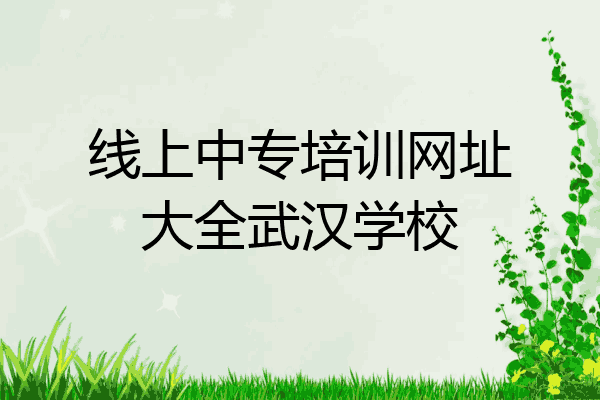 线上中专培训网址大全武汉学校