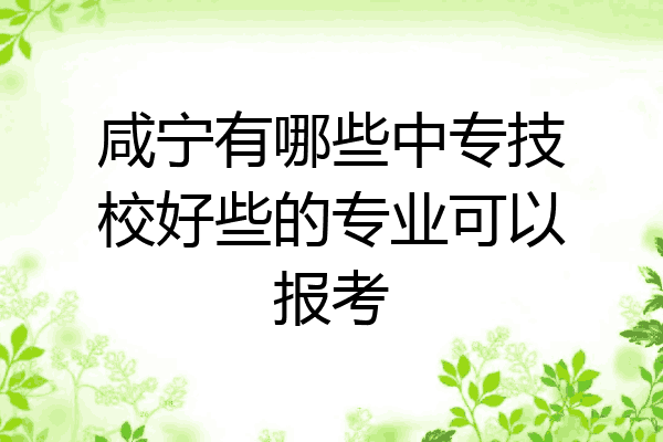 咸宁有哪些中专技校好些的专业可以报考