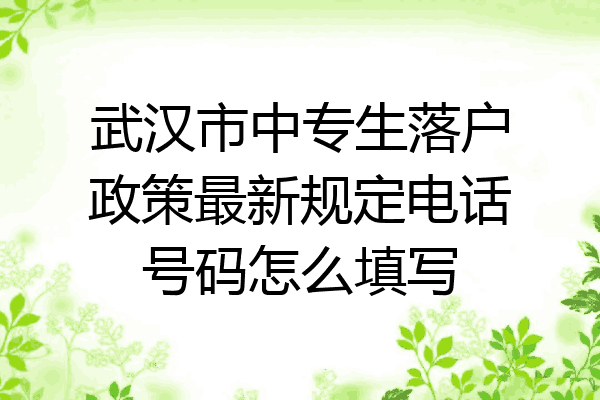 武汉市中专生落户政策最新规定电话号码怎么填写