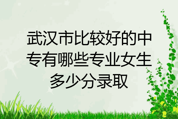 武汉市比较好的中专有哪些专业女生多少分录取