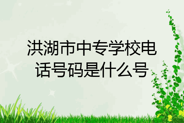 洪湖市中专学校电话号码是什么号