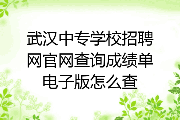 武汉中专学校招聘网官网查询成绩单电子版怎么查