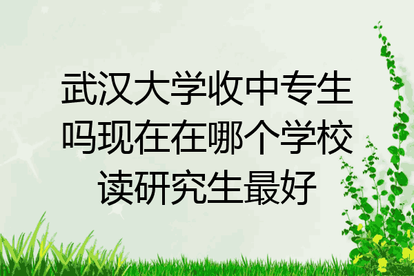 武汉大学收中专生吗现在在哪个学校读研究生最好