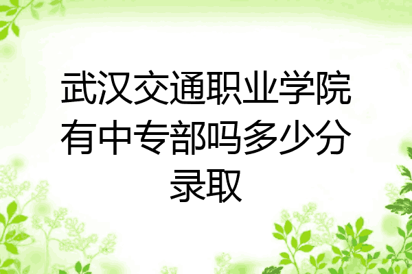 武汉交通职业学院有中专部吗多少分录取