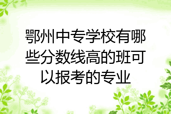 鄂州中专学校有哪些分数线高的班可以报考的专业