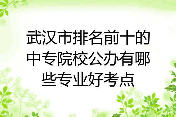 武汉市排名前十的中专院校公办有哪些专业好考点