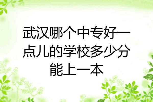 武汉哪个中专好一点儿的学校多少分能上一本