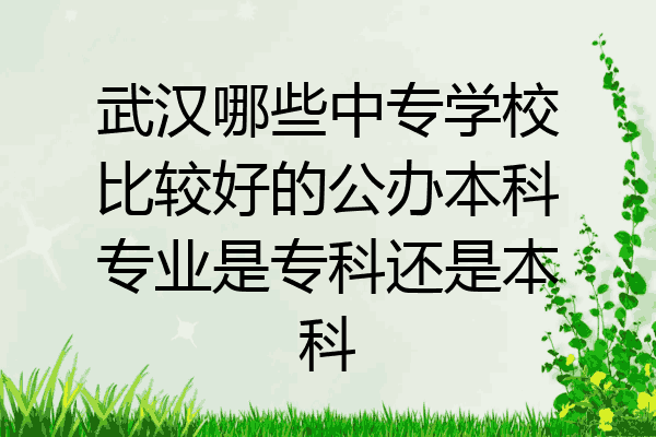 武汉哪些中专学校比较好的公办本科专业是专科还是本科