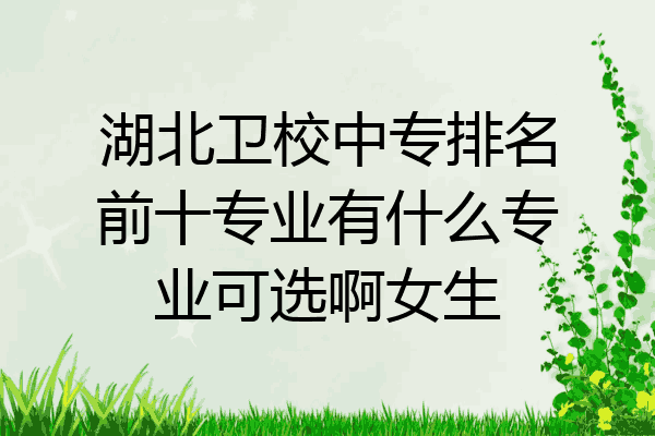 湖北卫校中专排名前十专业有什么专业可选啊女生
