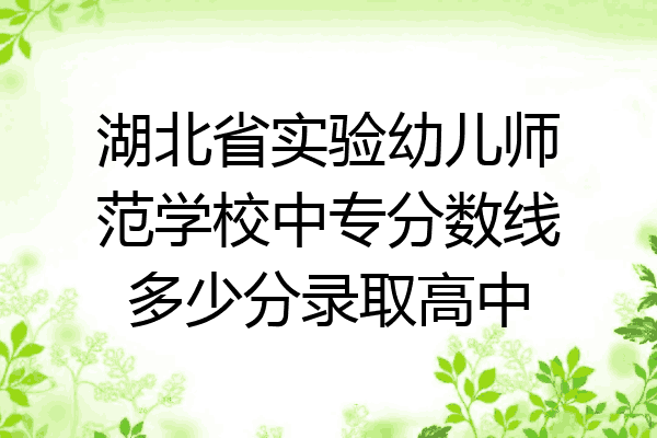湖北省实验幼儿师范学校中专分数线多少分录取高中
