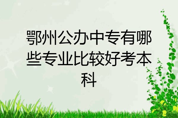 鄂州公办中专有哪些专业比较好考本科
