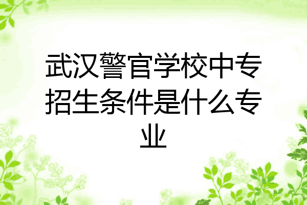武汉警官学校中专招生条件是什么专业