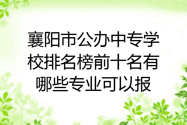 襄阳市公办中专学校排名榜前十名有哪些专业可以报