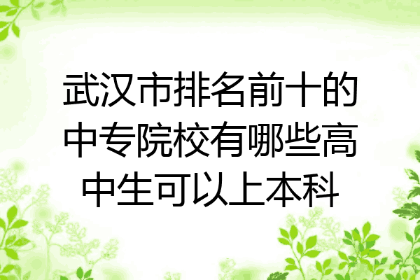武汉市排名前十的中专院校有哪些高中生可以上本科