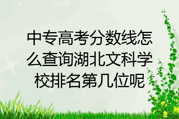 中专高考分数线怎么查询湖北文科学校排名第几位呢