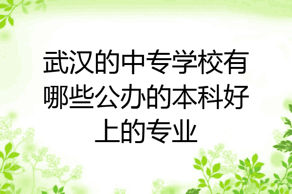 武汉的中专学校有哪些公办的本科好上的专业