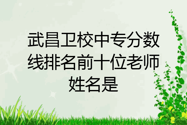 武昌卫校中专分数线排名前十位老师姓名是
