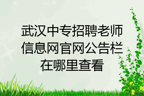 武汉中专招聘老师信息网官网公告栏在哪里查看