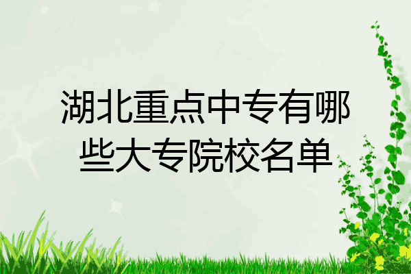 湖北重点中专有哪些大专院校名单