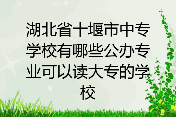 湖北省十堰市中专学校有哪些公办专业可以读大专的学校
