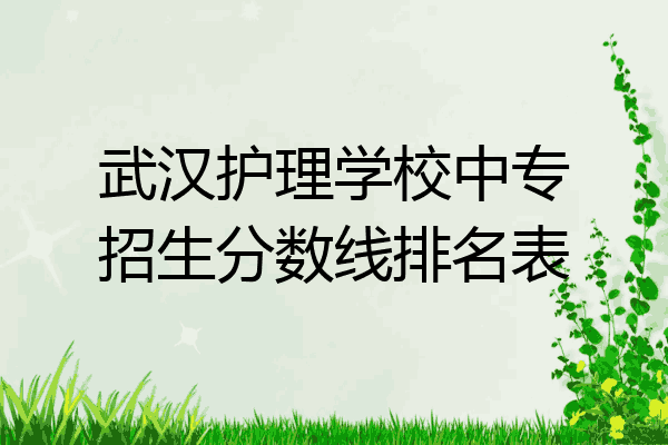 武汉护理学校中专招生分数线排名表
