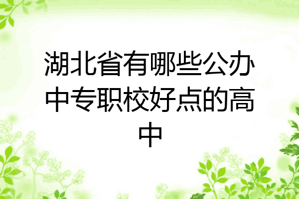 湖北省有哪些公办中专职校好点的高中