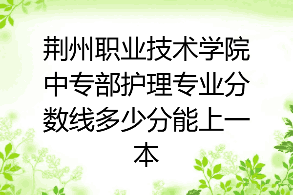荆州职业技术学院中专部护理专业分数线多少分能上一本