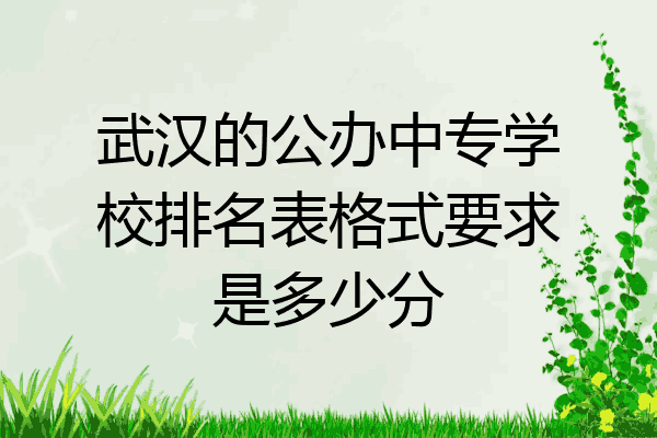 武汉的公办中专学校排名表格式要求是多少分