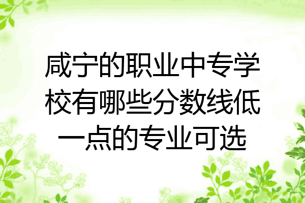 咸宁的职业中专学校有哪些分数线低一点的专业可选