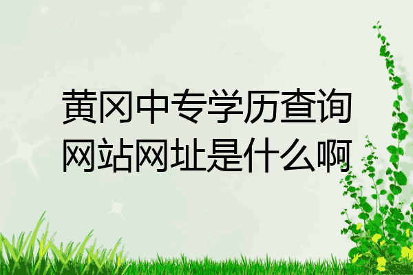 黄冈中专学历查询网站网址是什么啊