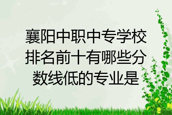 襄阳中职中专学校排名前十有哪些分数线低的专业是