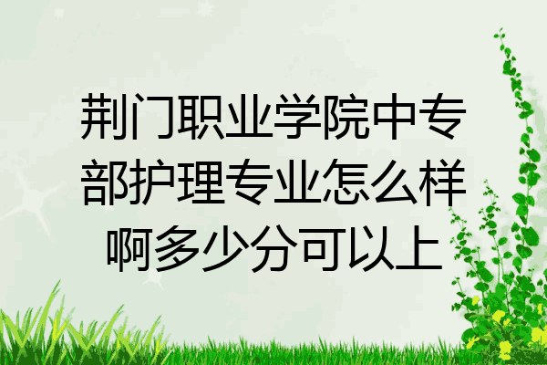 荆门职业学院中专部护理专业怎么样啊多少分可以上