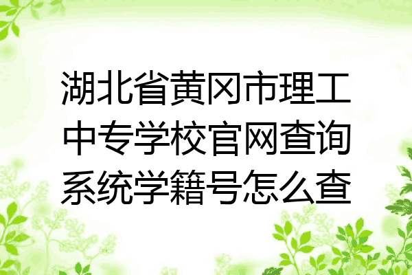 湖北省黄冈市理工中专学校官网查询系统学籍号怎么查
