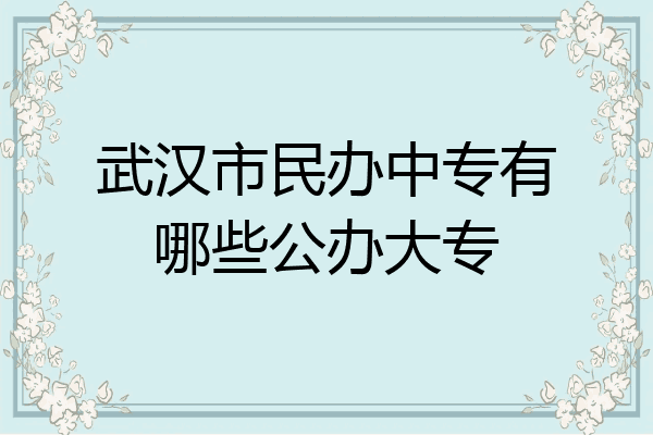 武汉市民办中专有哪些公办大专