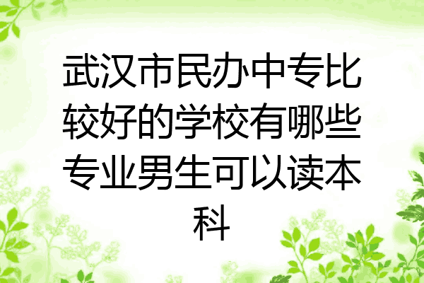 武汉市民办中专比较好的学校有哪些专业男生可以读本科