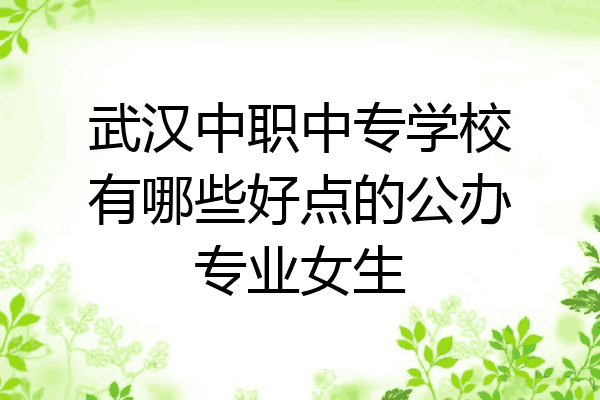 武汉中职中专学校有哪些好点的公办专业女生