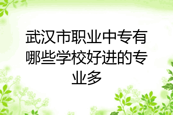 武汉市职业中专有哪些学校好进的专业多