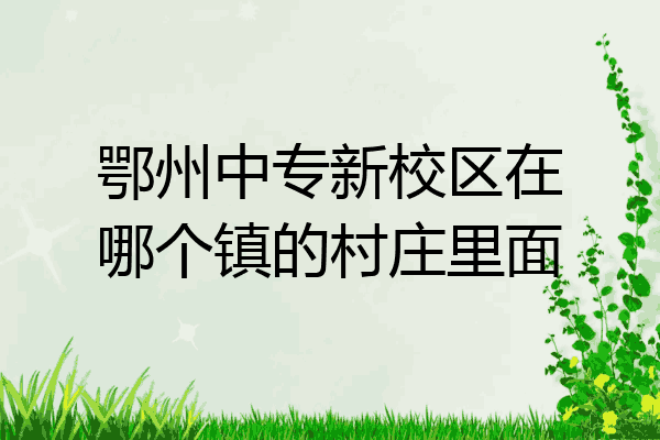 鄂州中专新校区在哪个镇的村庄里面