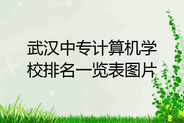 武汉中专计算机学校排名一览表图片