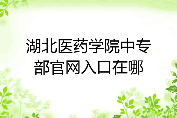 湖北医药学院中专部官网入口在哪