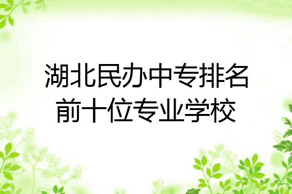 湖北民办中专排名前十位专业学校