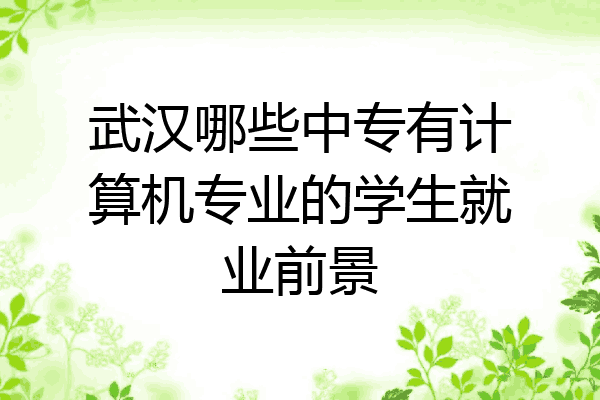 武汉哪些中专有计算机专业的学生就业前景