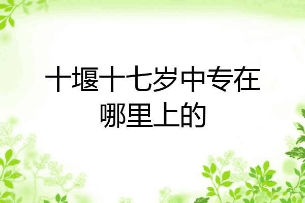 十堰十七岁中专在哪里上的