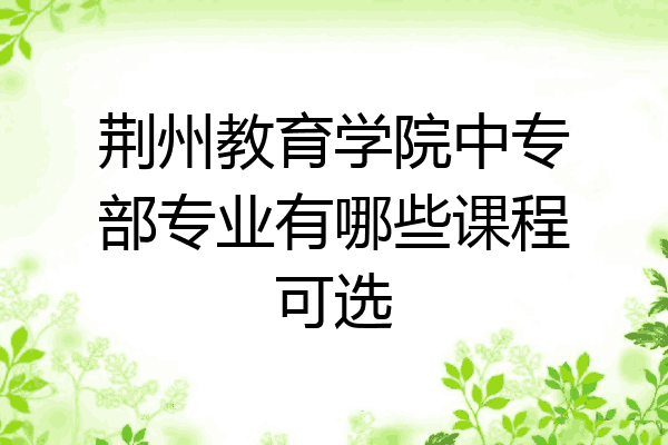 荆州教育学院中专部专业有哪些课程可选