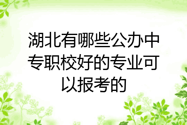 湖北有哪些公办中专职校好的专业可以报考的