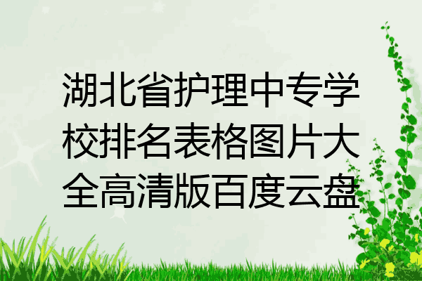 湖北省护理中专学校排名表格图片大全高清版百度云盘