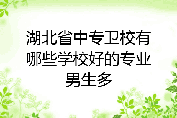 湖北省中专卫校有哪些学校好的专业男生多