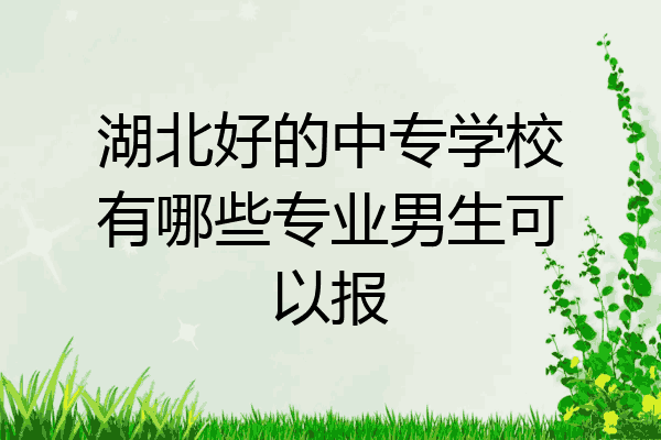 湖北好的中专学校有哪些专业男生可以报