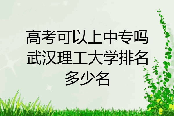 高考可以上中专吗武汉理工大学排名多少名