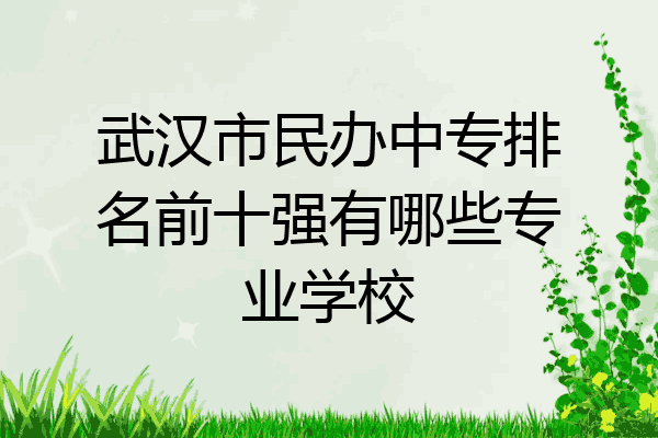 武汉市民办中专排名前十强有哪些专业学校